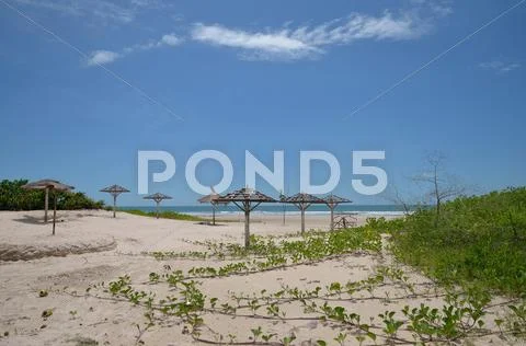Beach Stock Photos