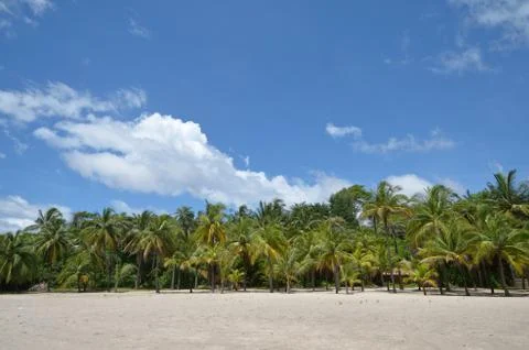 Beach Stock Photos