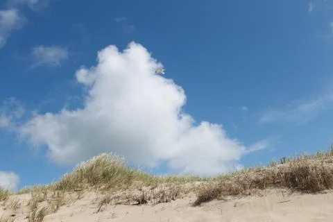 On the beach 库存照片