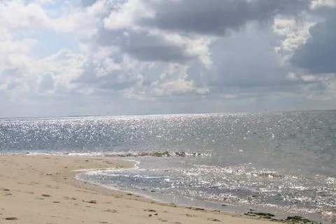 On the beach 库存照片