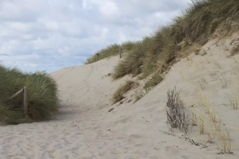 On the beach 库存照片