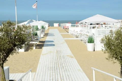 The beach 写真素材