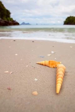 Beach Fotos de archivo