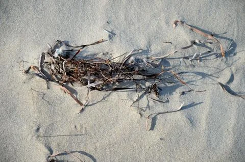 At the beach Stock Photos