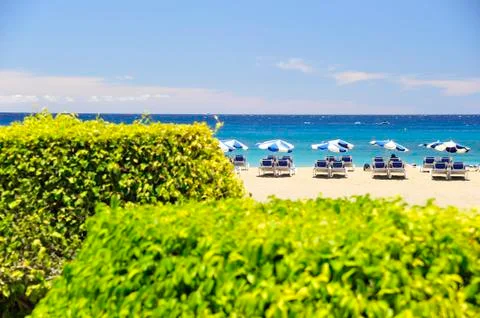 On the Beach Stock Photos