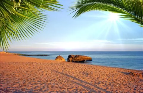 Beach Stock Photos