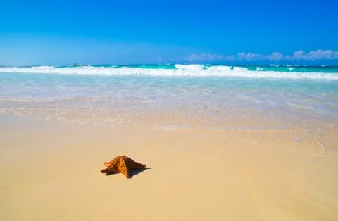 Beach Stock-Fotos