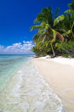 Beach Stock Photos