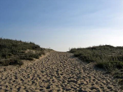 Beach Stock Photos