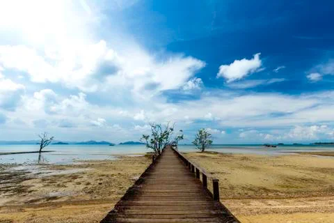 The beach Stock Photos