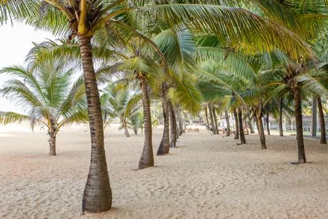 Beach Stock Photos