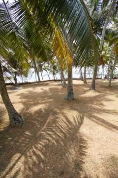 Beach Stock Photos