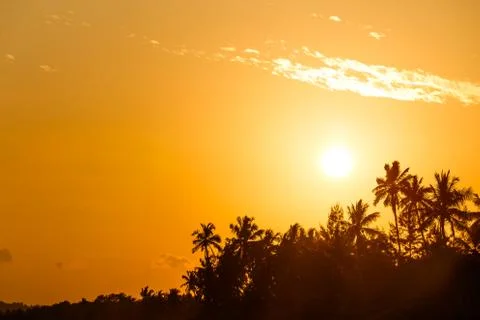 Beach Stock Photos