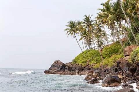 Beach Stock Photos