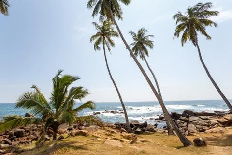 Beach Stock Photos
