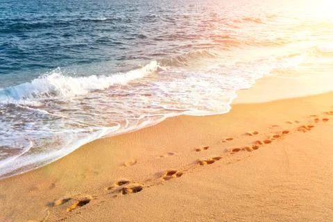 Beach Stock Photos