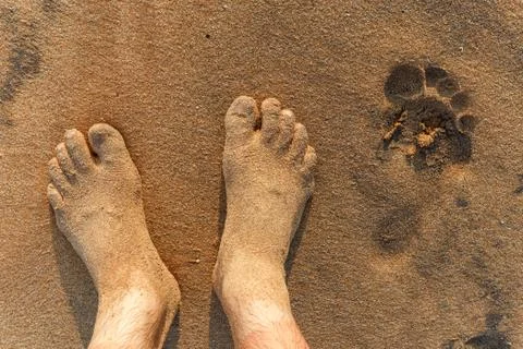 Beach Stock Photos