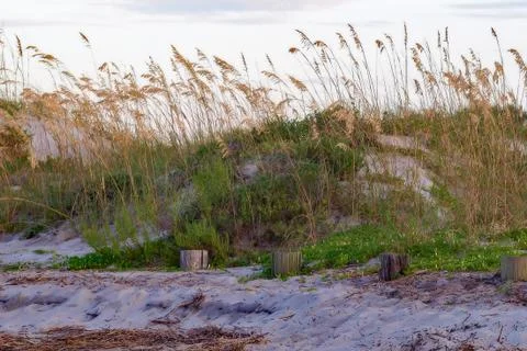 At the Beach Stock-Fotos