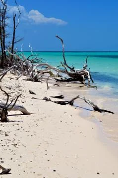 In the beach Stock Photos