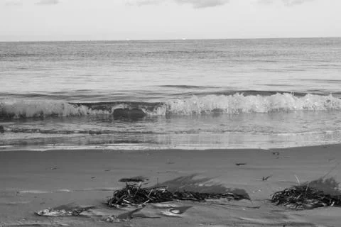 The Beach Stock Photos