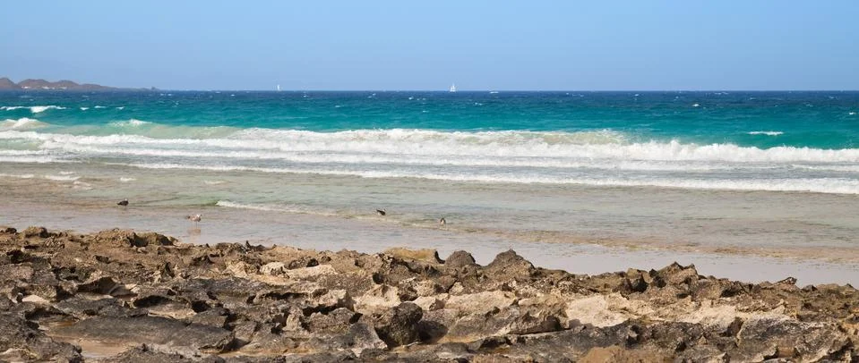 Beach Stock Photos