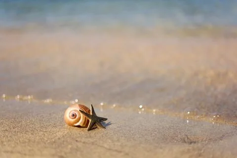 On a beach Stock Photos