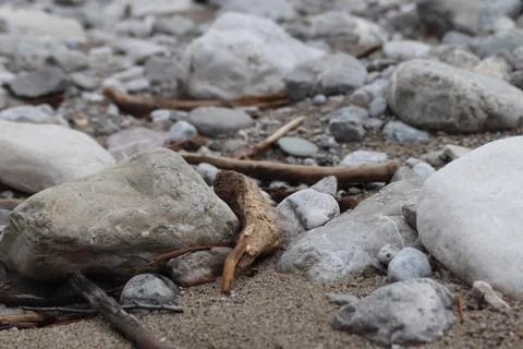 On the Beach Stock Photos