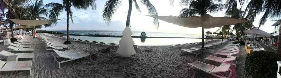 The beach 库存照片