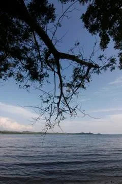 Beach Stockfoto's