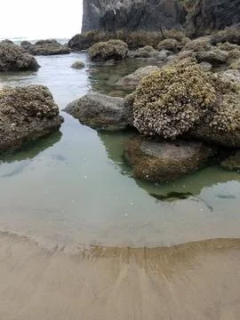 Beach Stock Photos