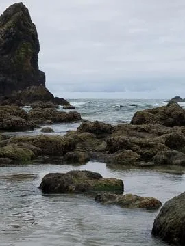 Beach Stock Photos