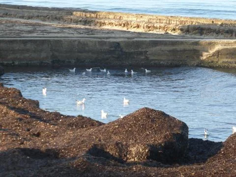 The beach Stock Photos
