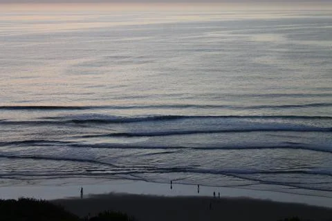 The beach Stock Photos