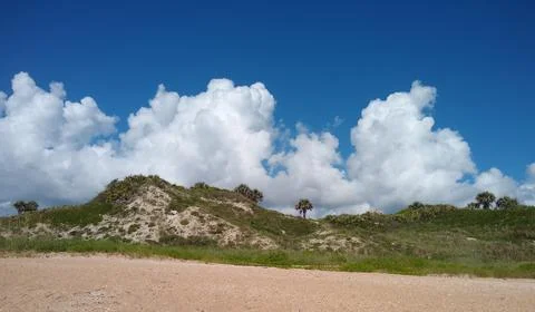 The beach 写真素材