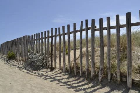 The beach Stock Photos