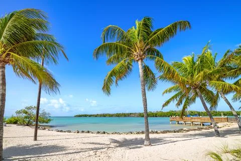 On the beach 스톡 사진