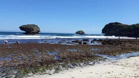 Beach Stock-Fotos
