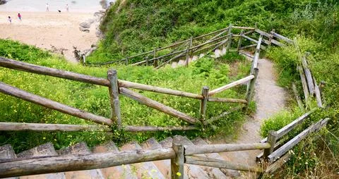 To the beach Foto stock