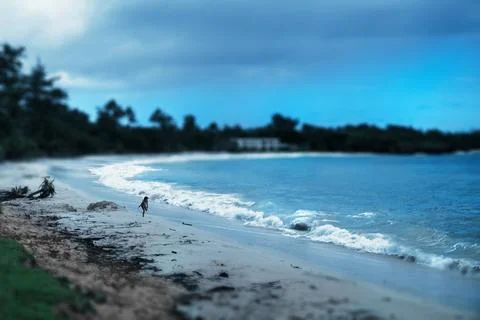 The Beach Stock Photos