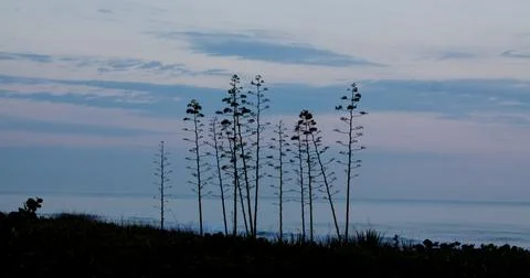 On the Beach Stock Photos