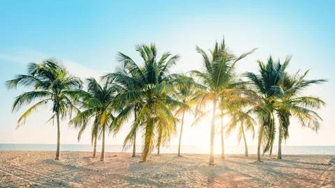 On the beach 스톡 사진