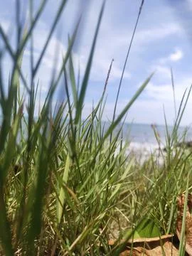 Beach Stock Photos
