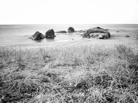 The beach Stock Photos