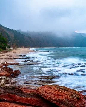 The beach 库存照片