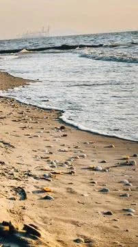 Beach Stock Photos