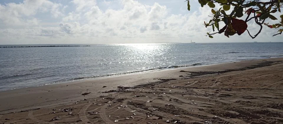 Beach Stock-Fotos
