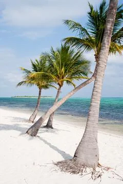 Beach Stock Photos