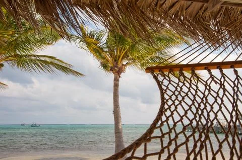Beach Stock Photos