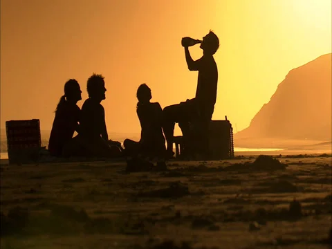 Beach picnic Stock Footage 27359464