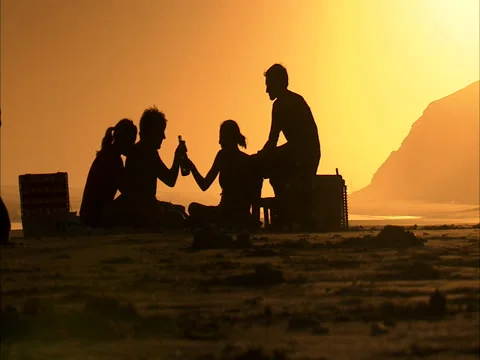 Beach picnic Stock Footage 27359524